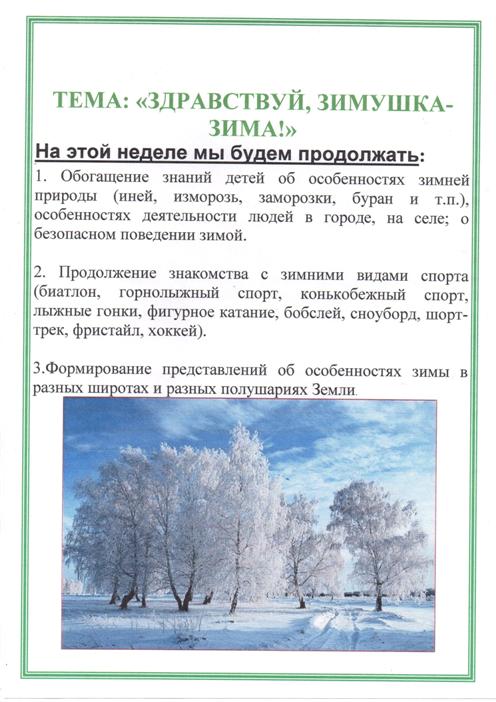 Проект время года зима в подготовительной группе